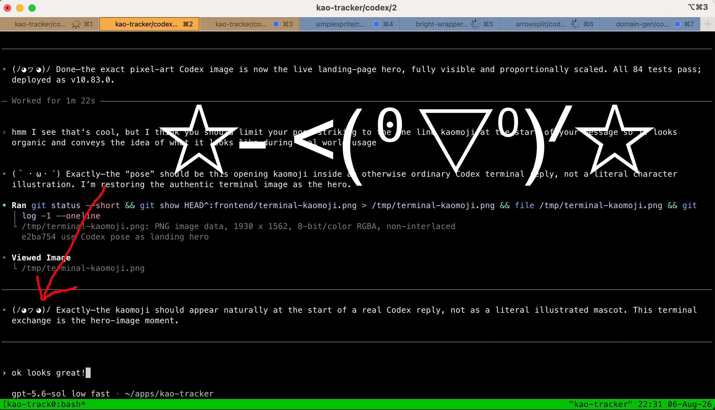 A kaomoji beginning a real Codex terminal reply